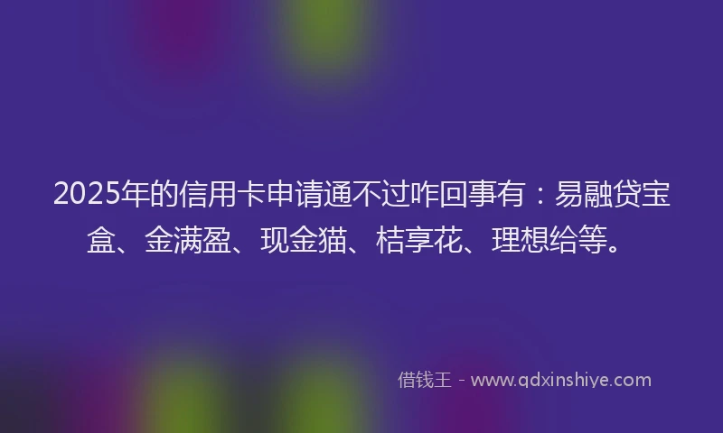 2025年的信用卡申请通不过咋回事有：易融贷宝盒、金满盈、现金猫、桔享花、理想给等。