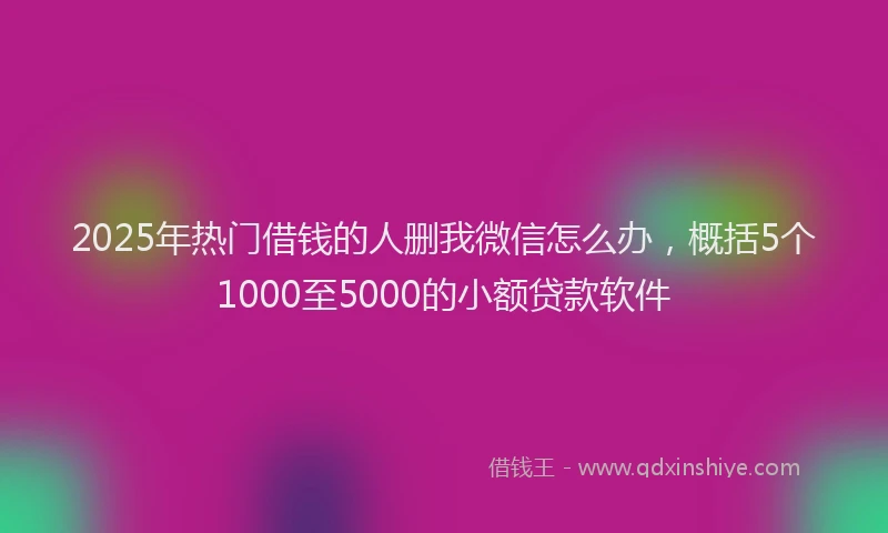 2025年热门借钱的人删我微信怎么办，概括5个1000至5000的小额贷款软件