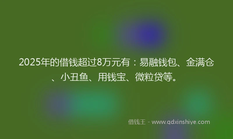 2025年的借钱超过8万元有：易融钱包、金满仓、小丑鱼、用钱宝、微粒贷等。