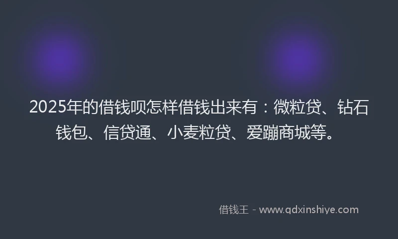 2025年的借钱呗怎样借钱出来有：微粒贷、钻石钱包、信贷通、小麦粒贷、爱蹦商城等。