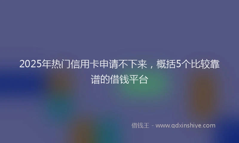 2025年热门信用卡申请不下来，概括5个比较靠谱的借钱平台
