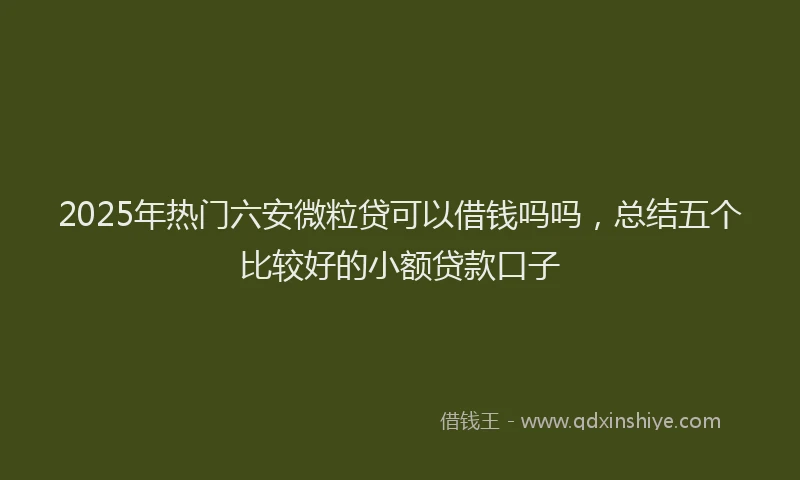 2025年热门六安微粒贷可以借钱吗吗，总结五个比较好的小额贷款口子