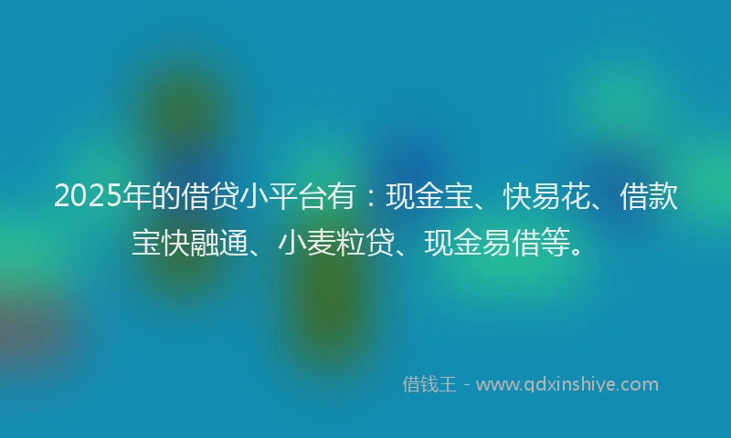 2025年的借贷小平台有：现金宝、快易花、借款宝快融通、小麦粒贷、现金易借等。