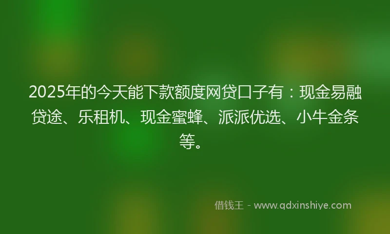 2025年的今天能下款额度网贷口子有：现金易融贷途、乐租机、现金蜜蜂、派派优选、小牛金条等。