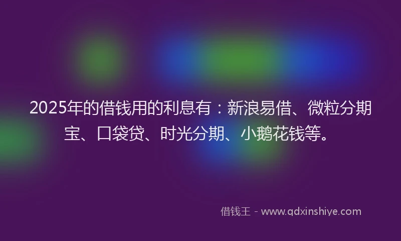 2025年的借钱用的利息有：新浪易借、微粒分期宝、口袋贷、时光分期、小鹅花钱等。
