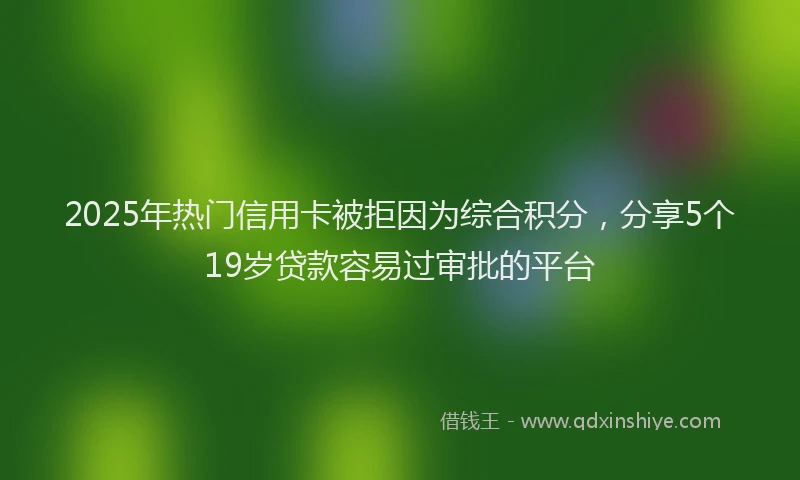 2025年热门信用卡被拒因为综合积分，分享5个19岁贷款容易过审批的平台