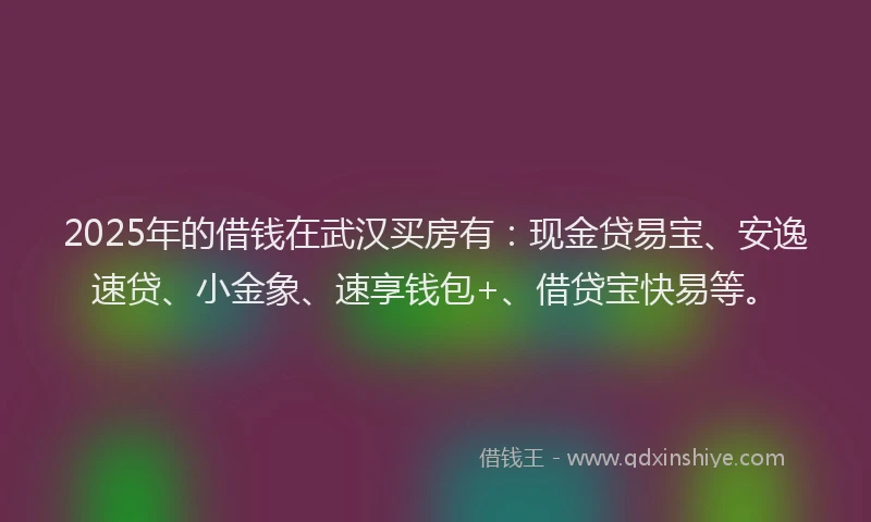 2025年的借钱在武汉买房有：现金贷易宝、安逸速贷、小金象、速享钱包+、借贷宝快易等。