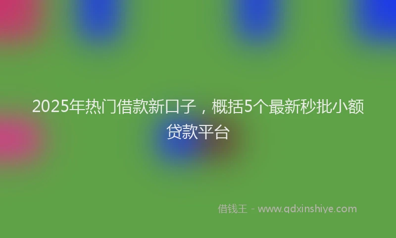 2025年热门借款新口子，概括5个最新秒批小额贷款平台