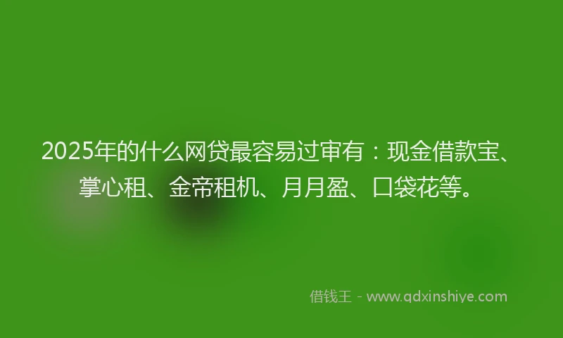 2025年的什么网贷最容易过审有：现金借款宝、掌心租、金帝租机、月月盈、口袋花等。