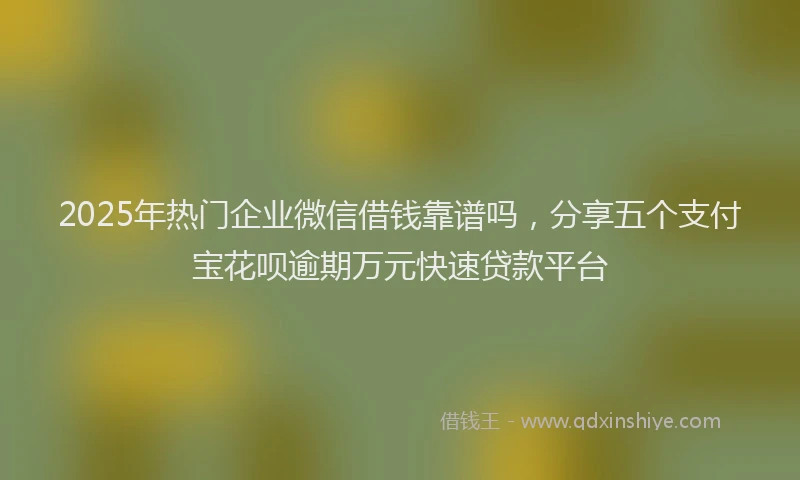 2025年热门企业微信借钱靠谱吗，分享五个支付宝花呗逾期万元快速贷款平台