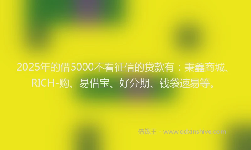 2025年的借5000不看征信的贷款有：秉鑫商城、RICH-购、易借宝、好分期、钱袋速易等。