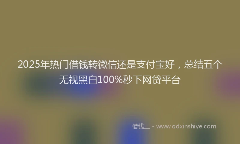2025年热门借钱转微信还是支付宝好，总结五个无视黑白100%秒下网贷平台