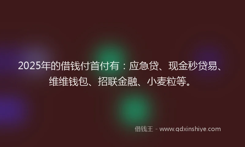2025年的借钱付首付有：应急贷、现金秒贷易、维维钱包、招联金融、小麦粒等。