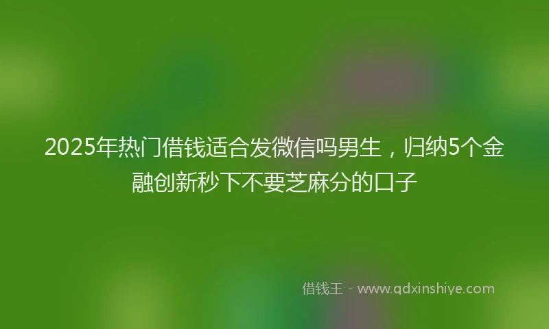 2025年热门借钱适合发微信吗男生，归纳5个金融创新秒下不要芝麻分的口子