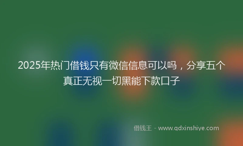 2025年热门借钱只有微信信息可以吗，分享五个真正无视一切黑能下款口子