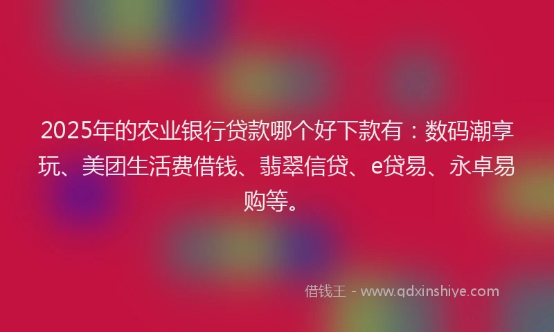 2025年的农业银行贷款哪个好下款有：数码潮享玩、美团生活费借钱、翡翠信贷、e贷易、永卓易购等。