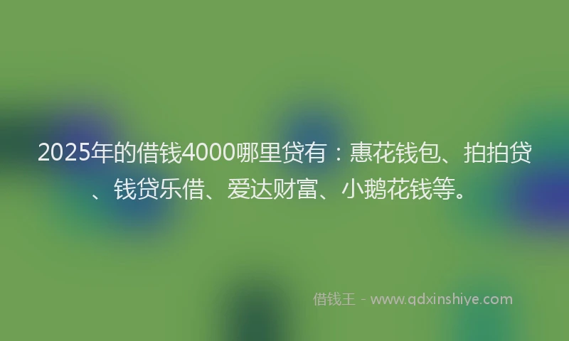 2025年的借钱4000哪里贷有：惠花钱包、拍拍贷、钱贷乐借、爱达财富、小鹅花钱等。