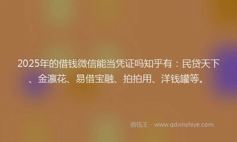 2025年的借钱微信能当凭证吗知乎有：民贷天下、金瀛花、易借宝融、拍拍用、洋钱罐等。