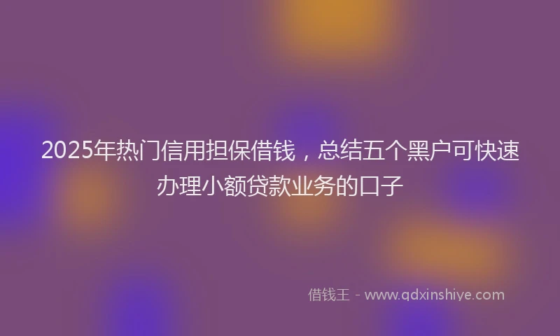 2025年热门信用担保借钱，总结五个黑户可快速办理小额贷款业务的口子