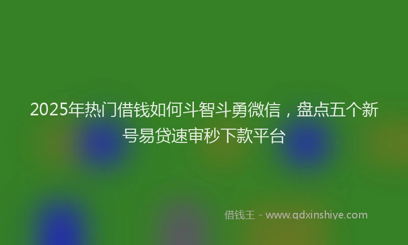 2025年热门借钱如何斗智斗勇微信，盘点五个新号易贷速审秒下款平台