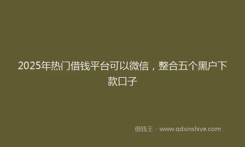 2025年热门借钱平台可以微信，整合五个黑户下款口子