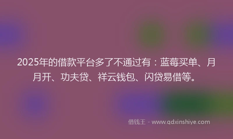 2025年的借款平台多了不通过有：蓝莓买单、月月开、功夫贷、祥云钱包、闪贷易借等。