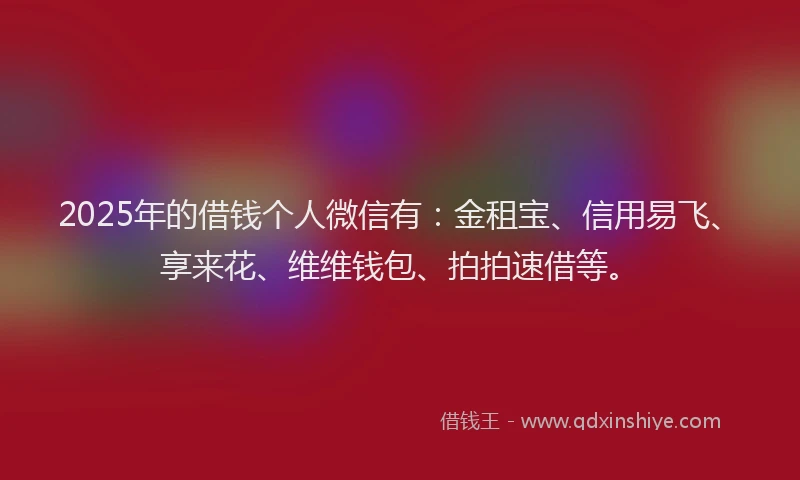 2025年的借钱个人微信有：金租宝、信用易飞、享来花、维维钱包、拍拍速借等。
