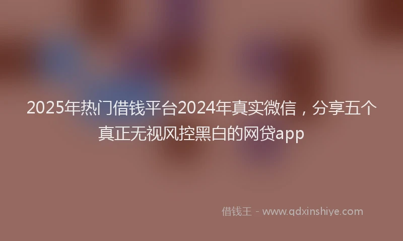 2025年热门借钱平台2024年真实微信，分享五个真正无视风控黑白的网贷app