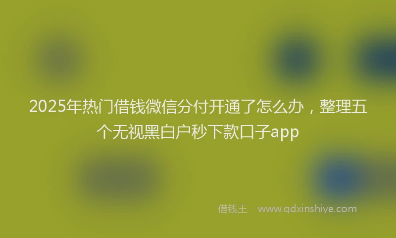 2025年热门借钱微信分付开通了怎么办，整理五个无视黑白户秒下款口子app