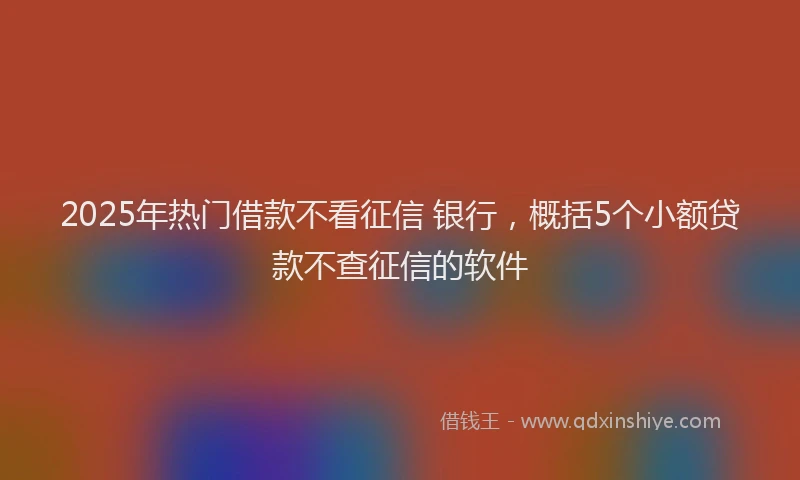 2025年热门借款不看征信 银行，概括5个小额贷款不查征信的软件