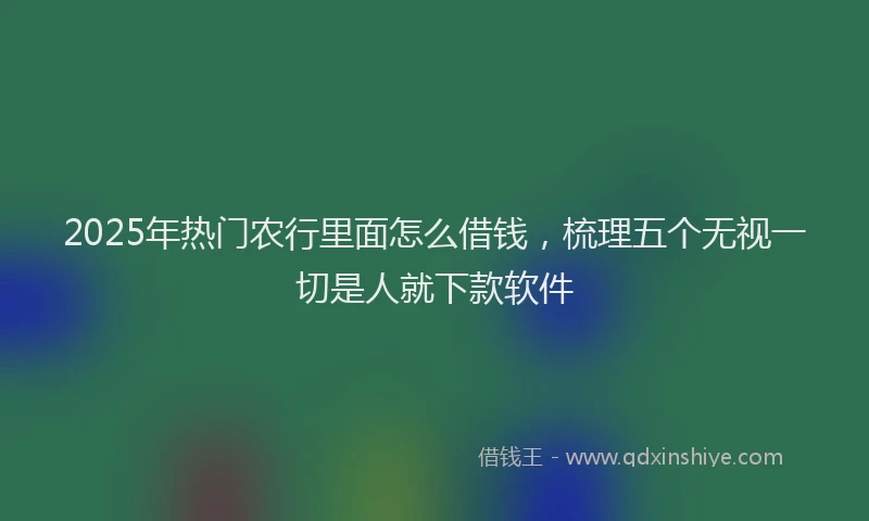 2025年热门农行里面怎么借钱，梳理五个无视一切是人就下款软件