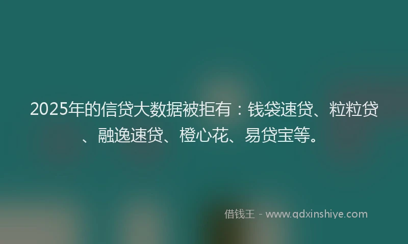 2025年的信贷大数据被拒有：钱袋速贷、粒粒贷、融逸速贷、橙心花、易贷宝等。