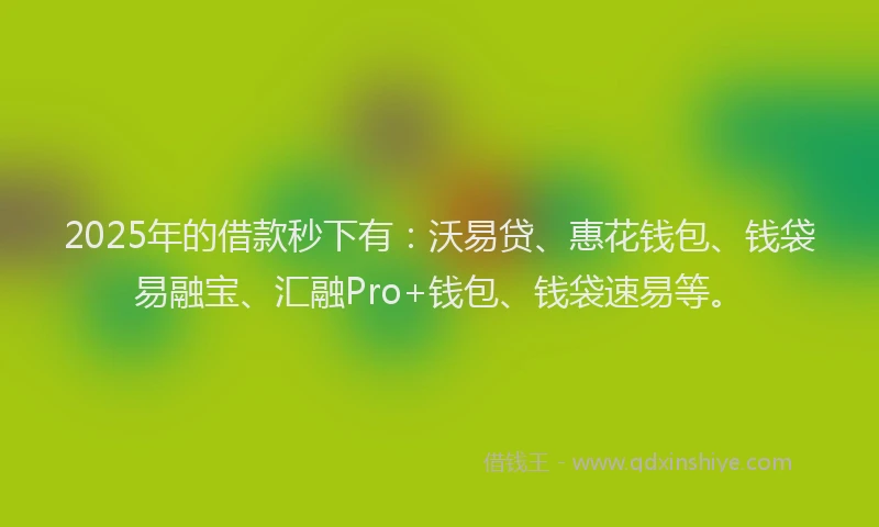 2025年的借款秒下有：沃易贷、惠花钱包、钱袋易融宝、汇融Pro+钱包、钱袋速易等。