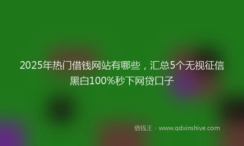 2025年热门借钱网站有哪些，汇总5个无视征信黑白100%秒下网贷口子