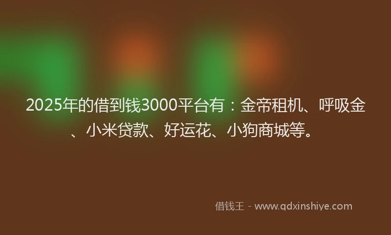 2025年的借到钱3000平台有：金帝租机、呼吸金、小米贷款、好运花、小狗商城等。