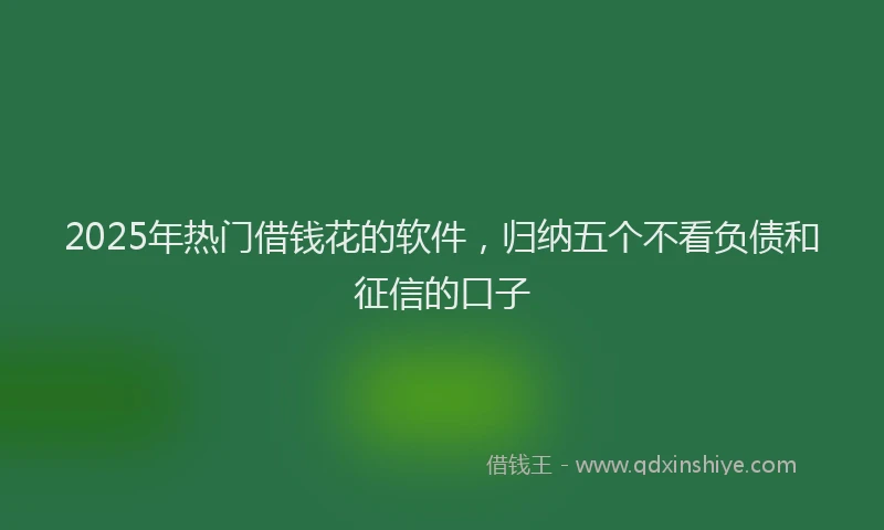 2025年热门借钱花的软件，归纳五个不看负债和征信的口子