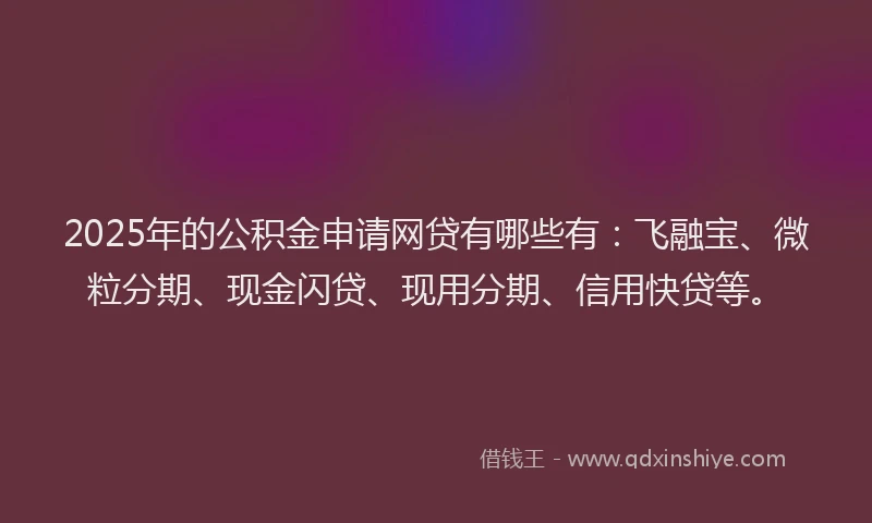 2025年的公积金申请网贷有哪些有：飞融宝、微粒分期、现金闪贷、现用分期、信用快贷等。