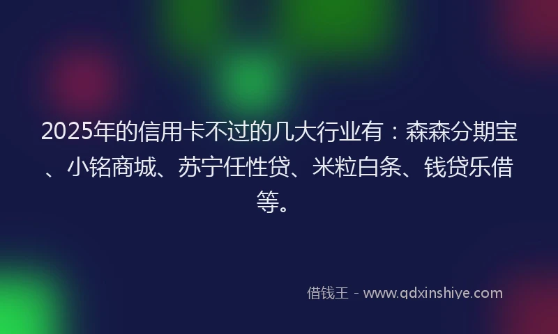 2025年的信用卡不过的几大行业有：森森分期宝、小铭商城、苏宁任性贷、米粒白条、钱贷乐借等。