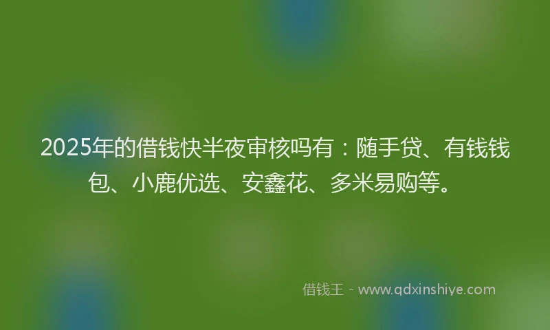 2025年的借钱快半夜审核吗有：随手贷、有钱钱包、小鹿优选、安鑫花、多米易购等。