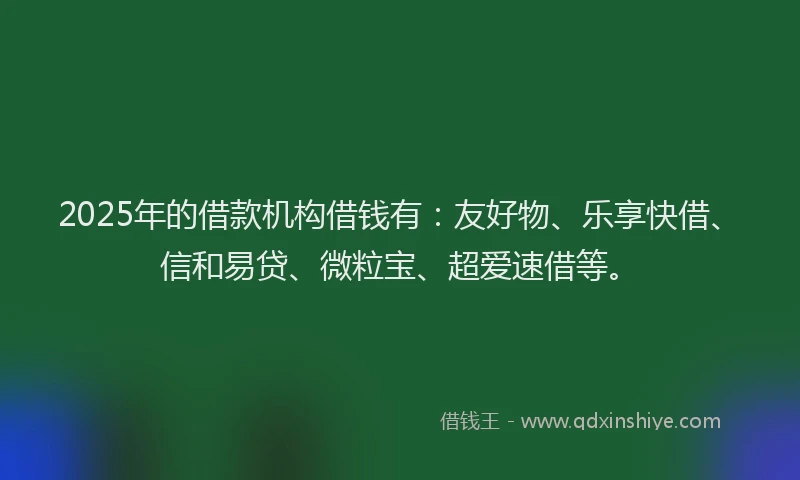 2025年的借款机构借钱有：友好物、乐享快借、信和易贷、微粒宝、超爱速借等。