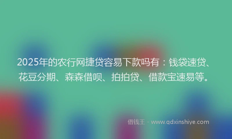 2025年的农行网捷贷容易下款吗有：钱袋速贷、花豆分期、森森借呗、拍拍贷、借款宝速易等。