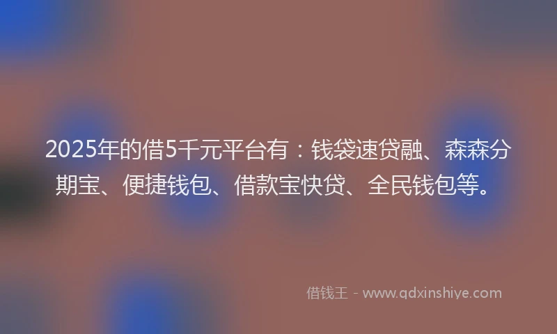 2025年的借5千元平台有：钱袋速贷融、森森分期宝、便捷钱包、借款宝快贷、全民钱包等。