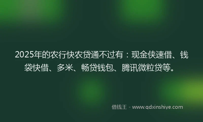 2025年的农行快农贷通不过有：现金侠速借、钱袋快借、多米、畅贷钱包、腾讯微粒贷等。