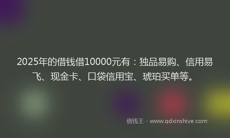2025年的借钱借10000元有：独品易购、信用易飞、现金卡、口袋信用宝、琥珀买单等。