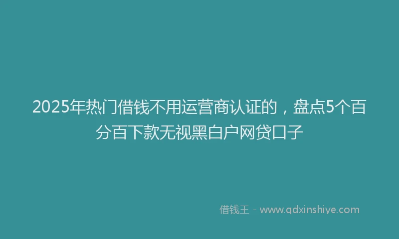 2025年热门借钱不用运营商认证的，盘点5个百分百下款无视黑白户网贷口子