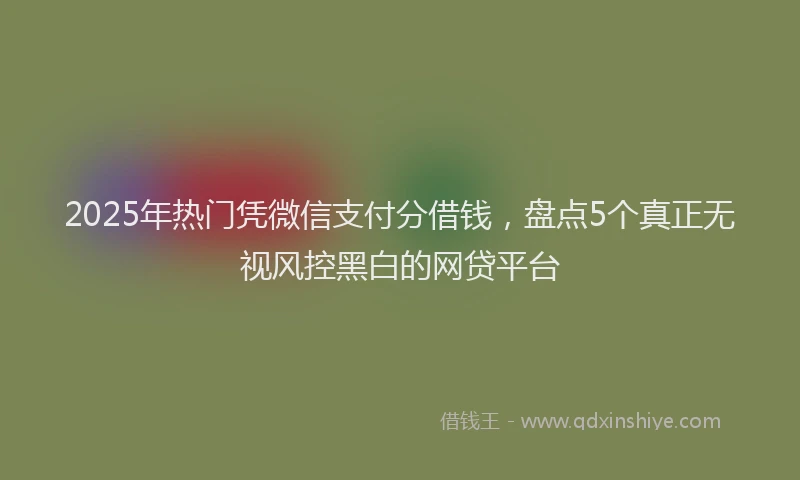 2025年热门凭微信支付分借钱，盘点5个真正无视风控黑白的网贷平台
