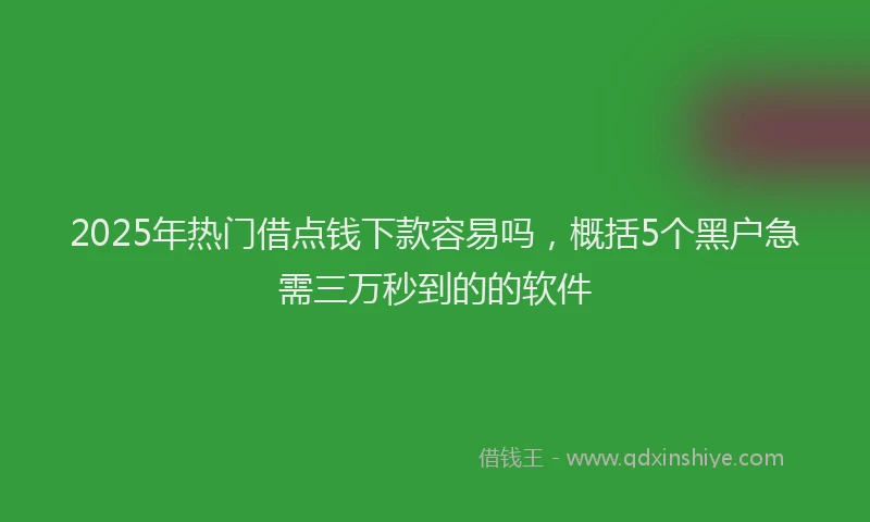 2025年热门借点钱下款容易吗，概括5个黑户急需三万秒到的的软件