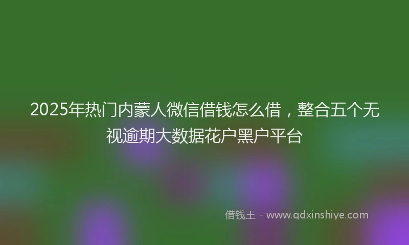 2025年热门内蒙人微信借钱怎么借，整合五个无视逾期大数据花户黑户平台