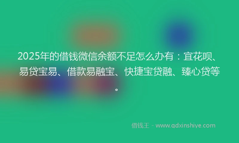 2025年的借钱微信余额不足怎么办有：宜花呗、易贷宝易、借款易融宝、快捷宝贷融、臻心贷等。
