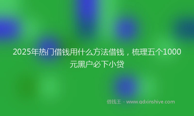 2025年热门借钱用什么方法借钱，梳理五个1000元黑户必下小贷